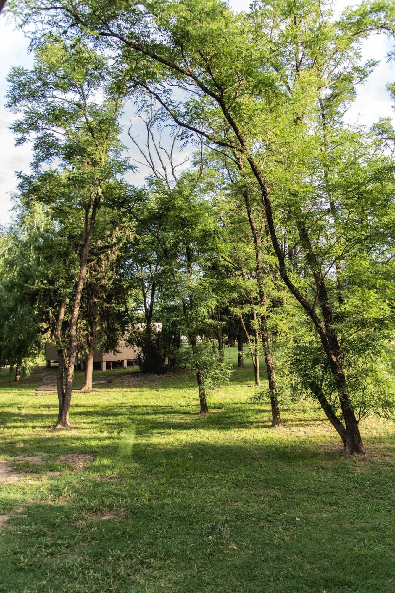 La Quinta, Cabanas De Campo Villa Nueva  Dış mekan fotoğraf