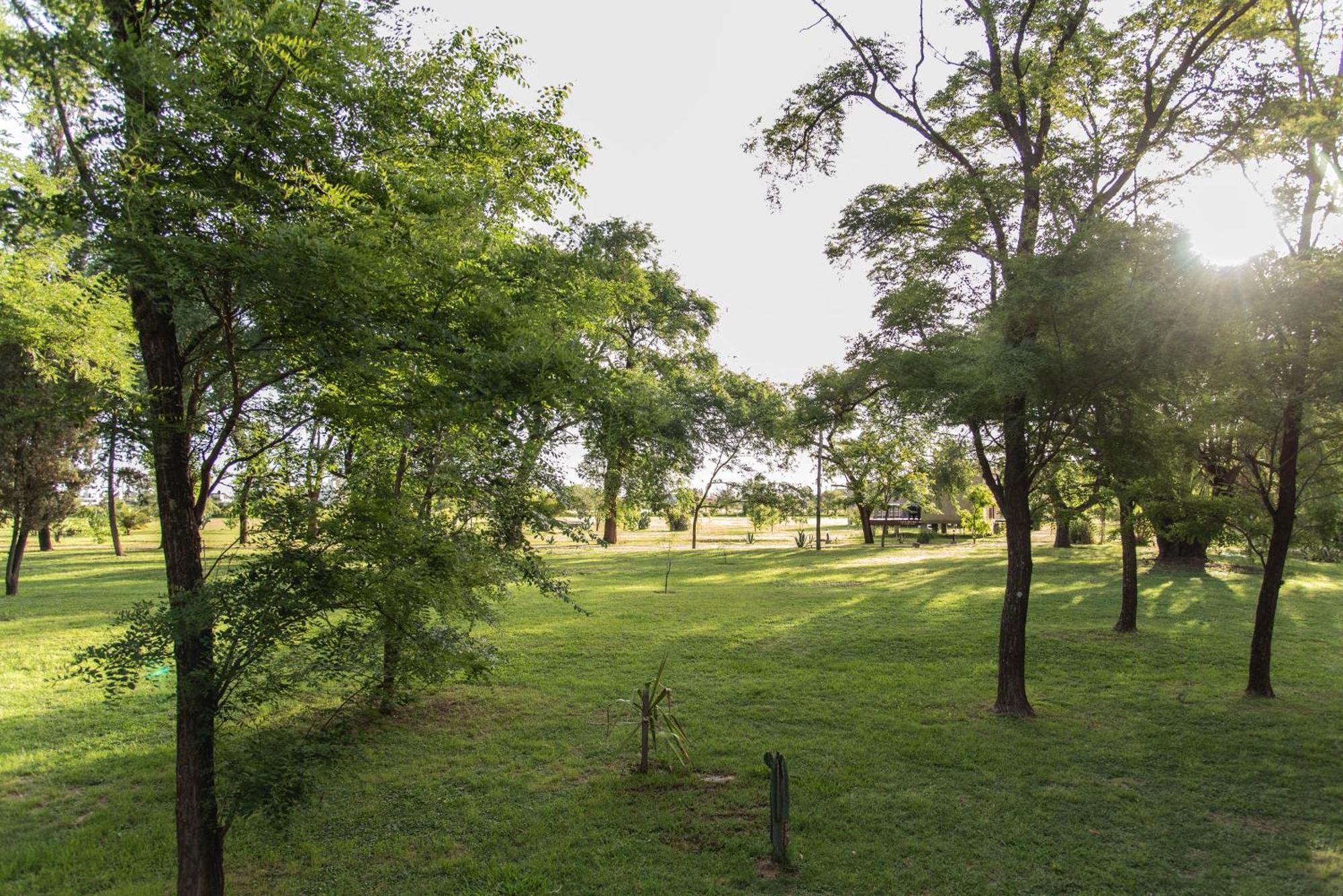 La Quinta, Cabanas De Campo Villa Nueva  Dış mekan fotoğraf