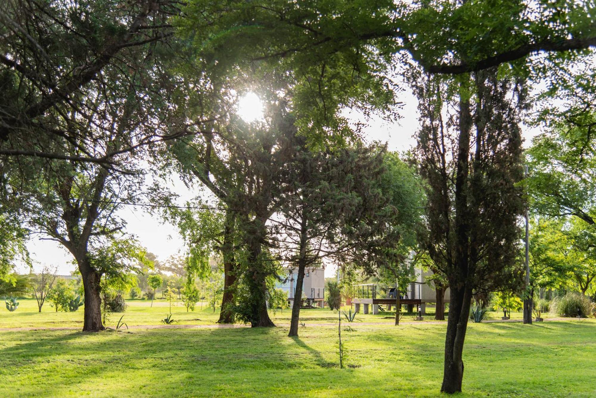 La Quinta, Cabanas De Campo Villa Nueva  Dış mekan fotoğraf